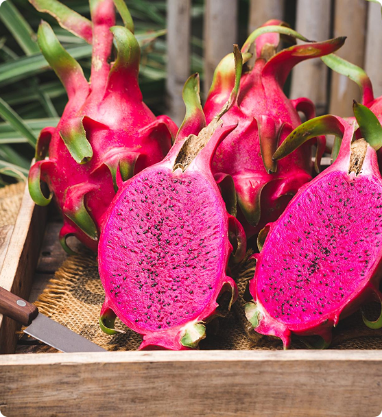 Dragon fruit display