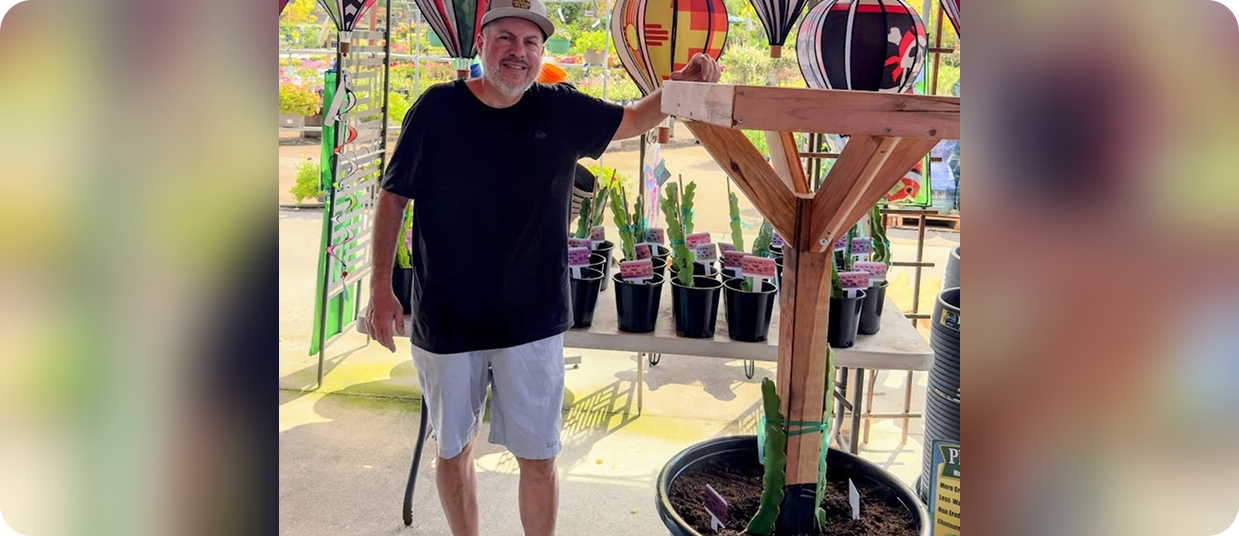 Dragon fruit trellis build reference