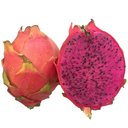 Red Jaina Hybrid - Image 5