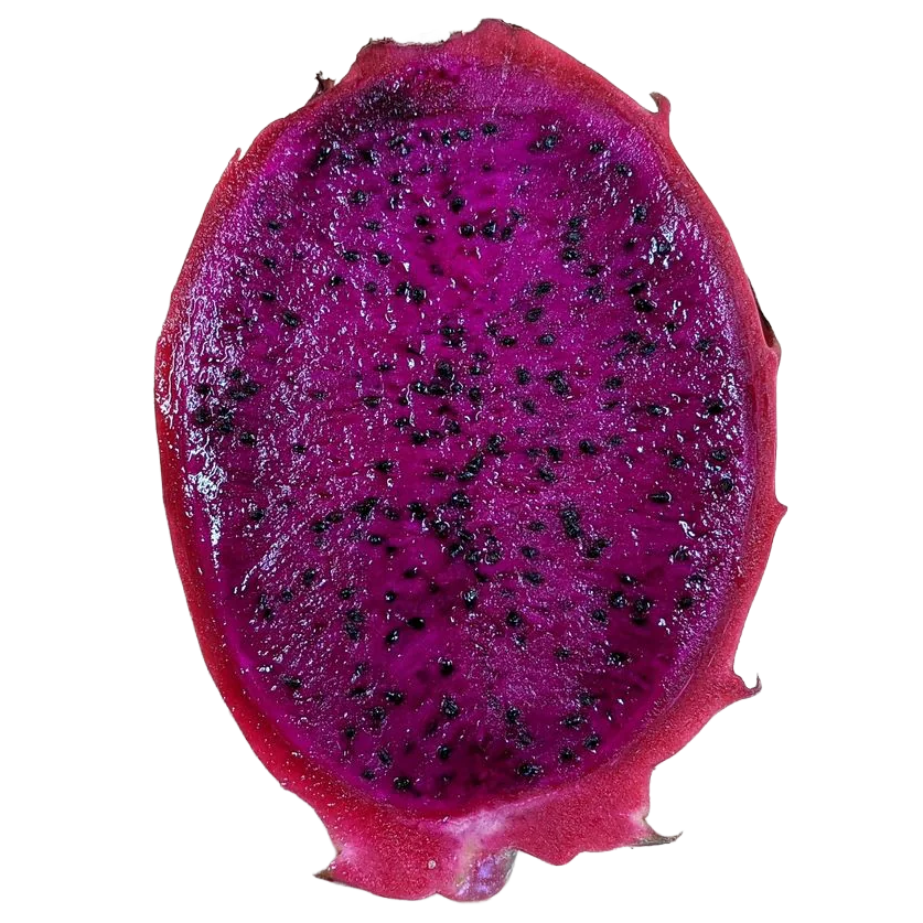 Red Jaina Hybrid - Image 3