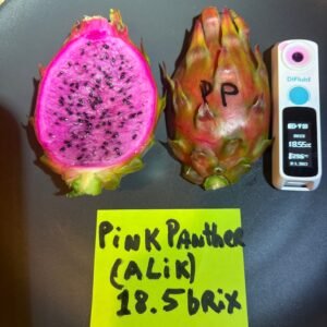 Pink Panther