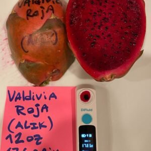Valdivia Roja