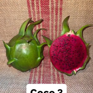 Coco 3