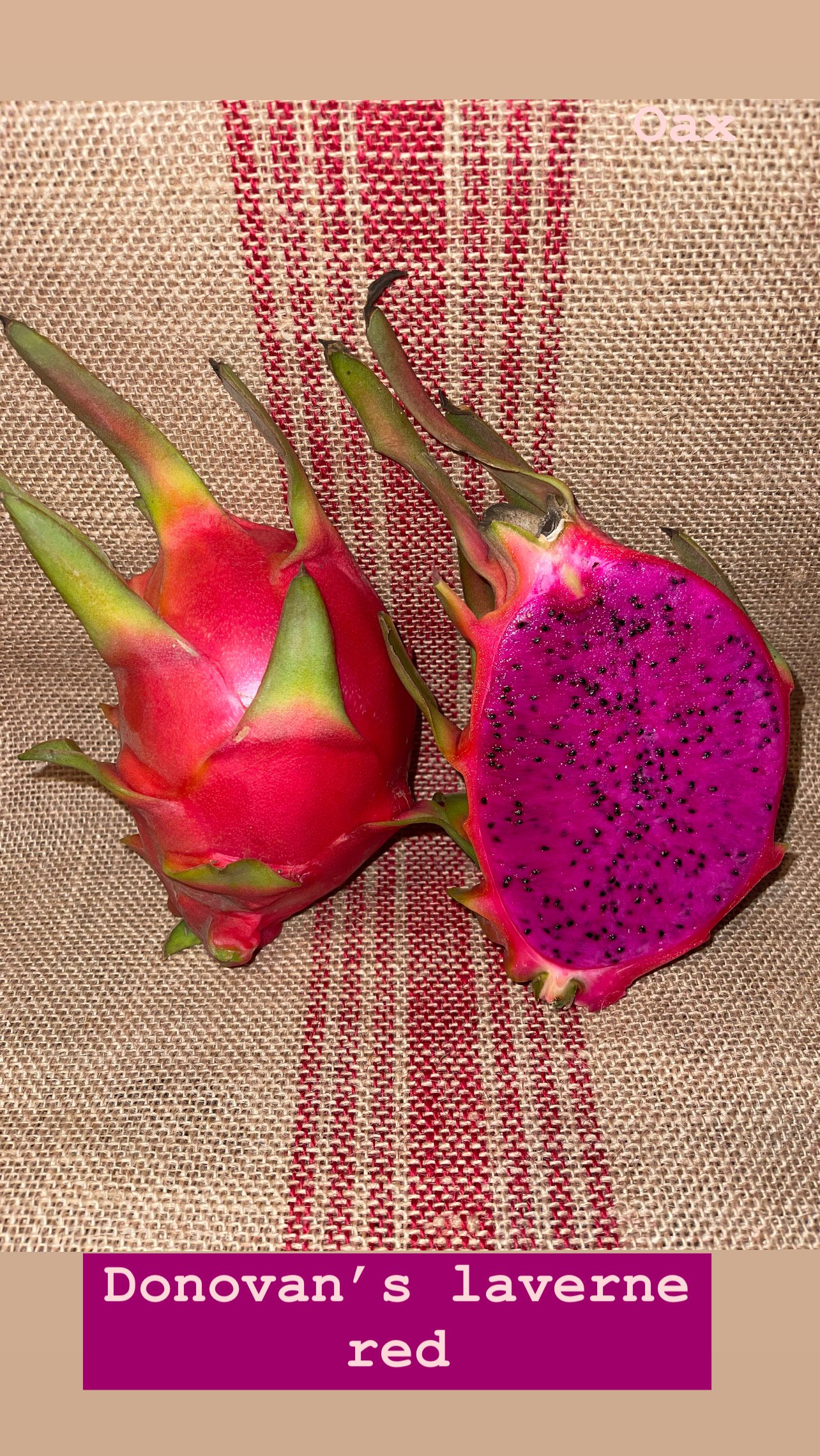 Donovan’s Laverne Red