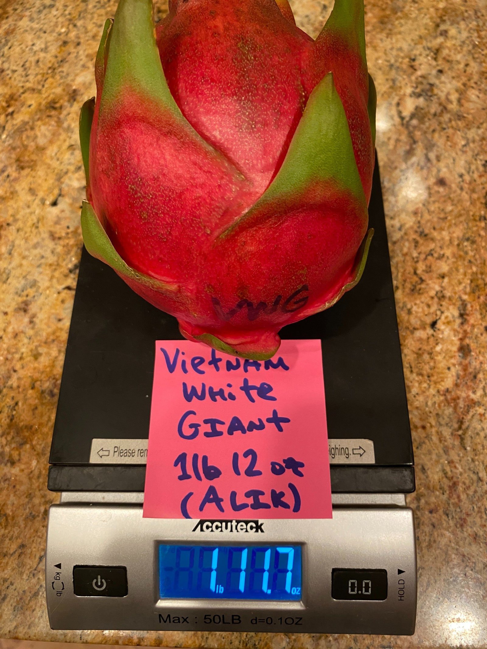 Vietnam White Giant