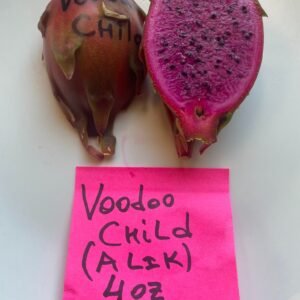 Voodoo Child