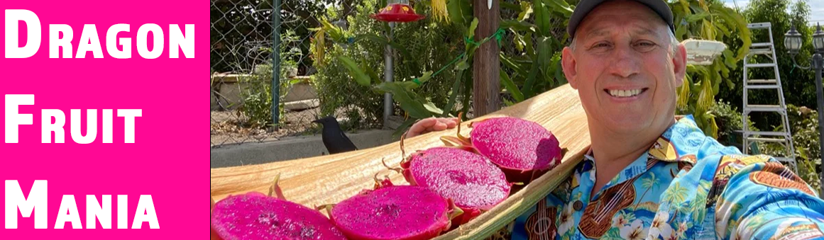 Shulman Dragon Fruit Orchard