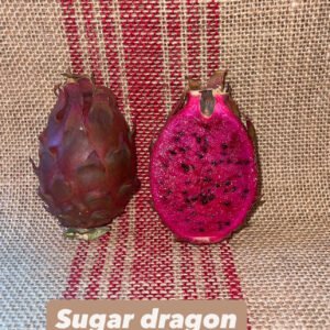 Sugar Dragon