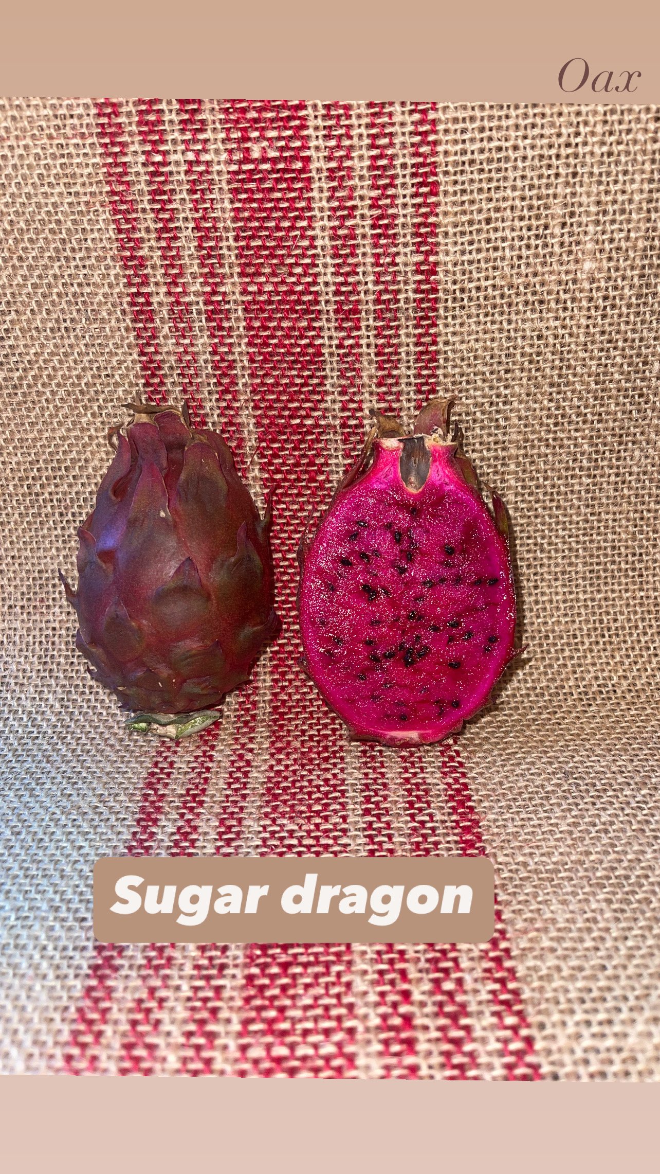 Sugar Dragon