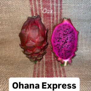 Ohana Express (Graft)