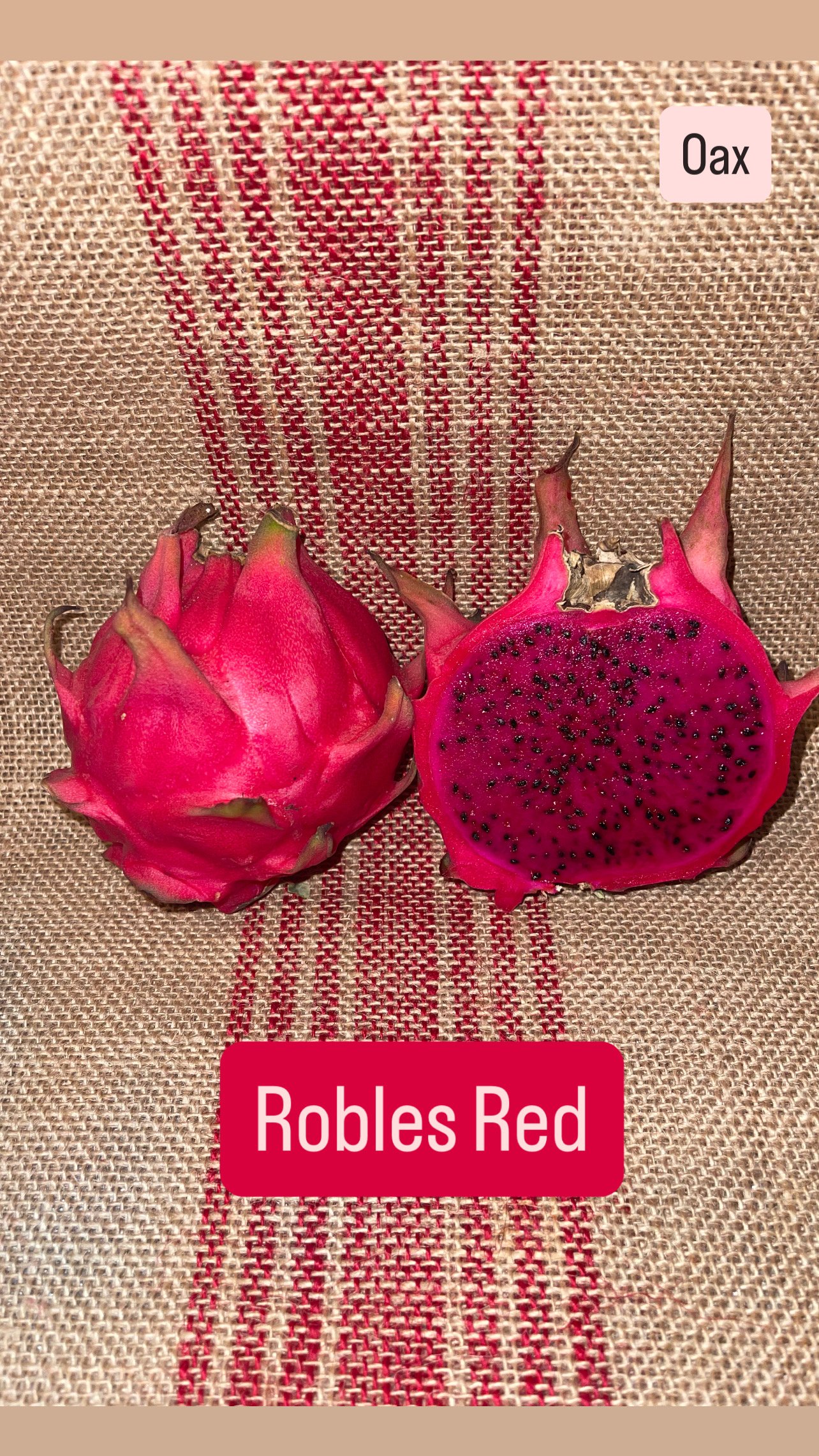 Robles red
